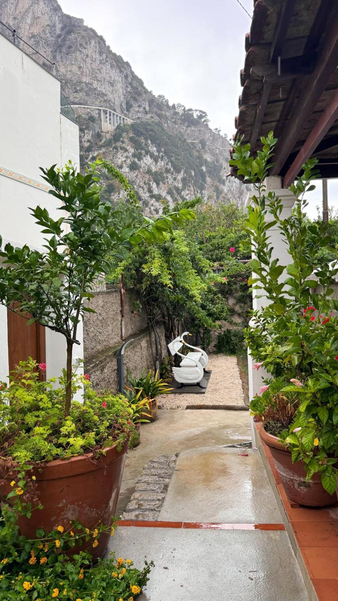 Il Cigno B&B Capri Exterior foto
