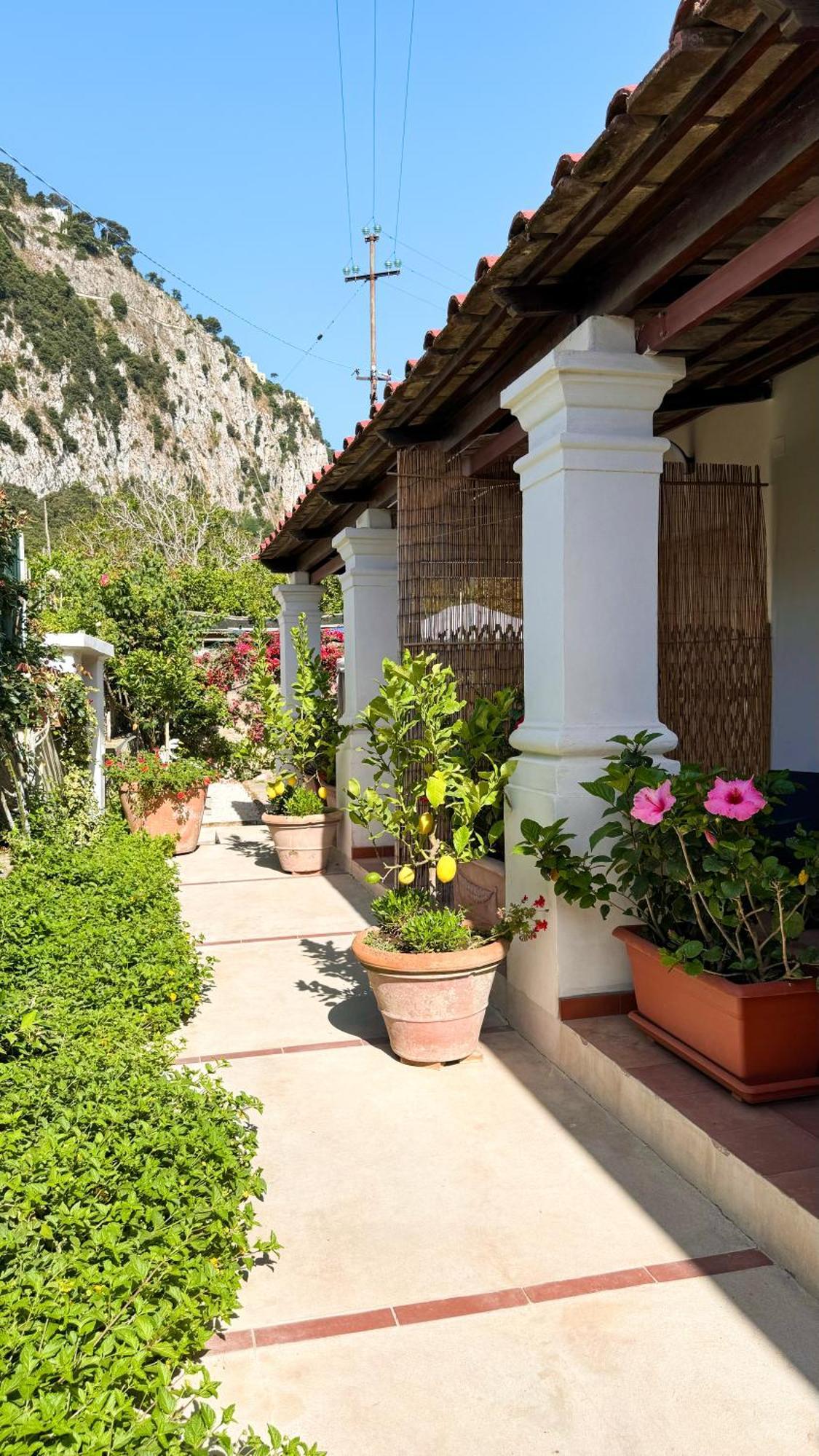 Il Cigno B&B Capri Exterior foto