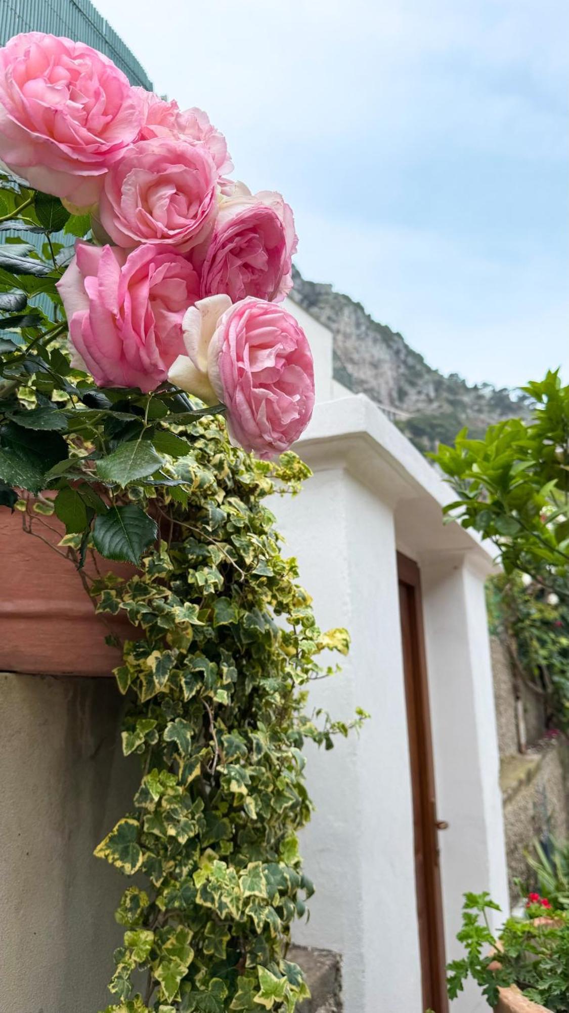 Il Cigno B&B Capri Exterior foto